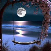 نِسْريـنْ (@one_chanc1) 's Twitter Profile