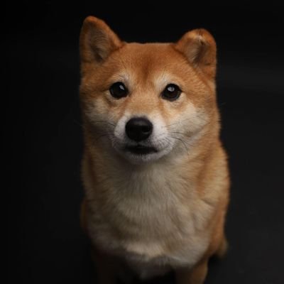 V43360Hj's profile picture. 