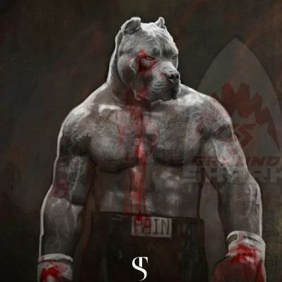 andykiswaga's profile picture. 