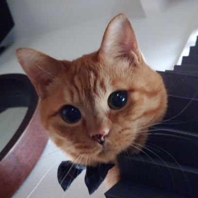 4dakane's profile picture. 