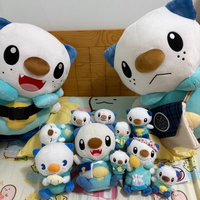 Timmy Chauさんのプロフィール画像
