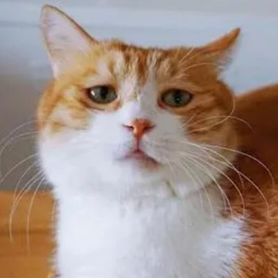 ArieBlake20412's profile picture. 年轻时读不懂的书，40岁再看全是答案
那些走过的弯路，现在都成了智慧的伏笔