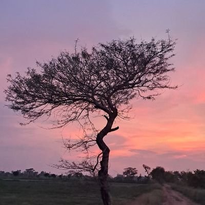 nandal_2907's profile picture. SGTBK'25 | MA POL SCI.  | DU'27💫 🎓
Student ⏳️