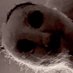 0x00007ff (@huhss6551) Twitter profile photo 0x00007ff (@huhss6551) Twitter profile photo