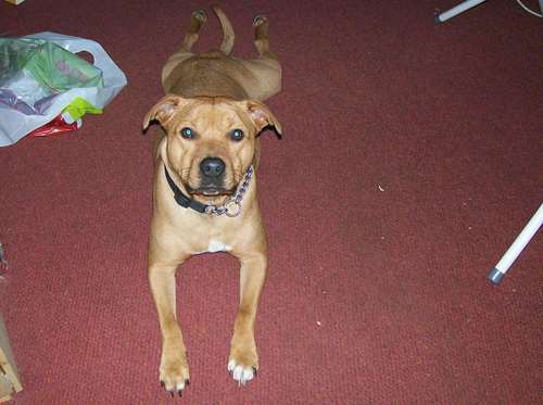 ben_apiln's profile picture. 