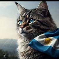 Dani🇦🇷💪💛🙋 (@dacenturion) 's Twitter Profile Photo Dani🇦🇷💪💛🙋 (@dacenturion) 's Twitter Profile Photo