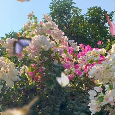 الإبداع لا حدود له عندما تنمو جذوره في ثقافة غنية.