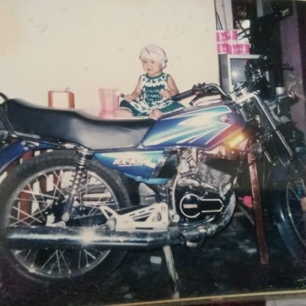 markisarrr's profile picture. 