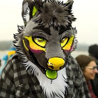 Darmetus (@darmetus) 's Twitter Profile