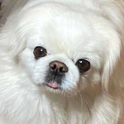 リとさんのプロフィール画像
