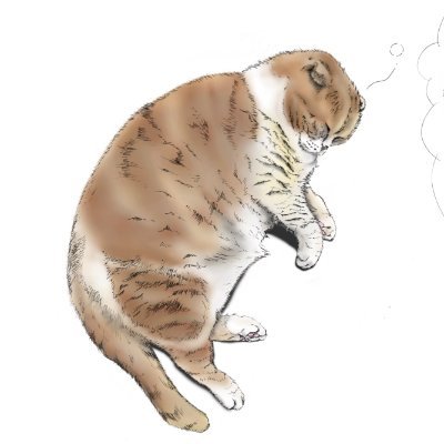 tomanuma's profile picture. 