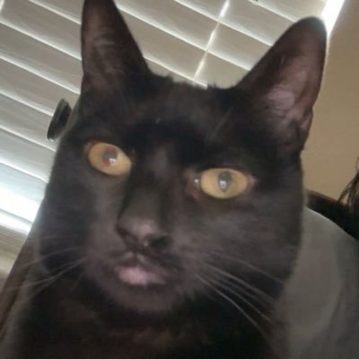 nobii8282's profile picture. 