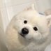 ไอ้น่วน (@liuyang_ya) Twitter profile photo ไอ้น่วน (@liuyang_ya) Twitter profile photo