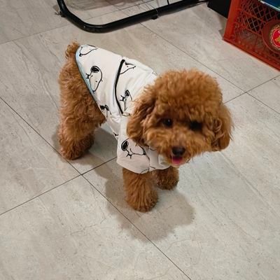 freensoldier's profile picture. privatemanor but real private