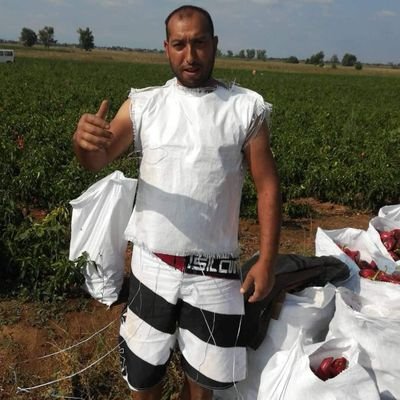 YuseinovS's profile picture. 