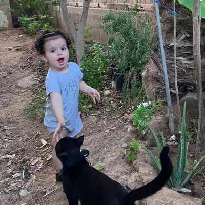 esam_alhadad's profile picture. A Palestinian man living under the largest genocide in the Gaza Strip