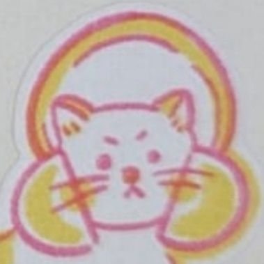 🍊 Sariat 🍊さんのプロフィール画像