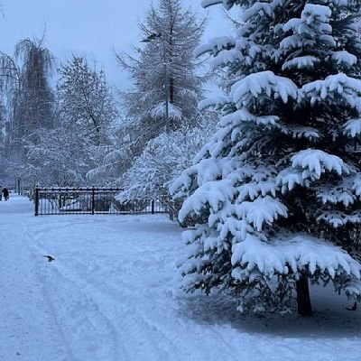 aminjr123456's profile picture. 