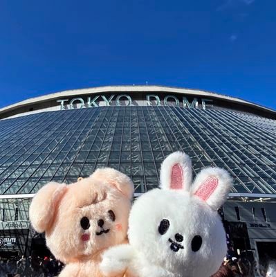 502_lesasu's profile picture. 30↑stay🐰と🐶atiny⛰