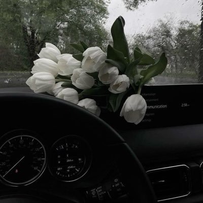 peachesroselove's profile picture. JANGAN ADA YANG FOLLOW AKUN INI!