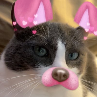 lilsweetmeatt's profile picture. #lurking