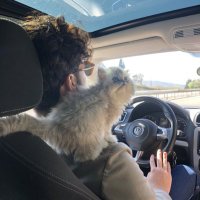 Utku Efe (@utkuefesavas) 's Twitter Profile Photo