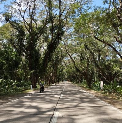 redbeaconlight's profile picture. 