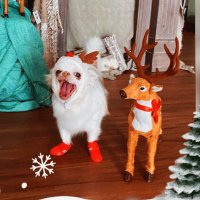 𝓨𝓲𝓷𝓰𝓨𝓮𝓮𝓷𝓰 잉잉 (@yingyeeng) 's Twitter Profile Photo 𝓨𝓲𝓷𝓰𝓨𝓮𝓮𝓷𝓰 잉잉 (@yingyeeng) 's Twitter Profile Photo