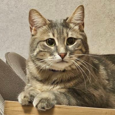 dnzxx1117095's profile picture. 