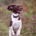 Keith baker - @keithbaker55 - Twitter