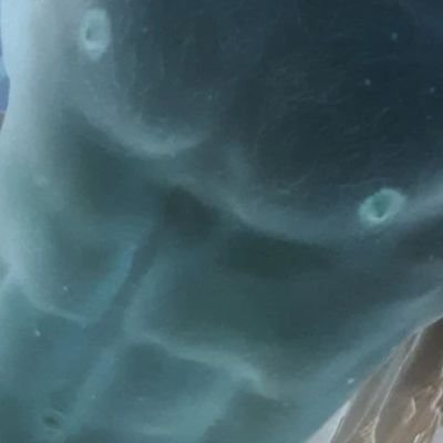 Williams930890's profile picture. 