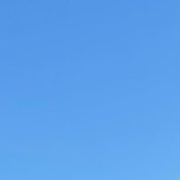 💮 (@mmmm_xxxxx_) 's Twitter Profile