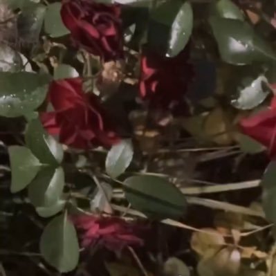 ephemeral_126's profile picture. 순간의 아름다움