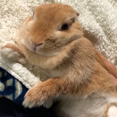 まりりんぐさんのプロフィール画像