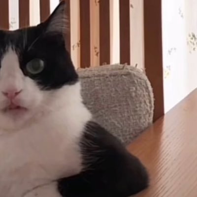 Dudeintou's profile picture. 