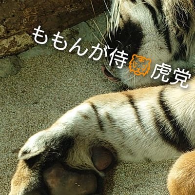 ももんが侍　虎党さんのプロフィール画像