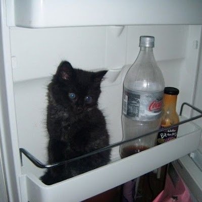 holymolydudughg's profile picture. ..