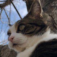Dav (@dave565758) 's Twitter Profile