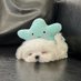 elle (@ellestudydiary) Twitter profile photo elle (@ellestudydiary) Twitter profile photo