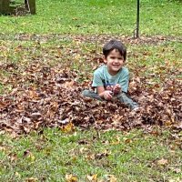 Marla Bell (@bell340580) 's Twitter Profile