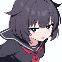 数値迷子(NaN) (@not_a_number_x) 's Twitter Profile
