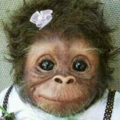 Fraenba1974's profile picture. 