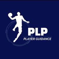 PlayerGuidanceDE (@playerguidanced) 's Twitter Profile