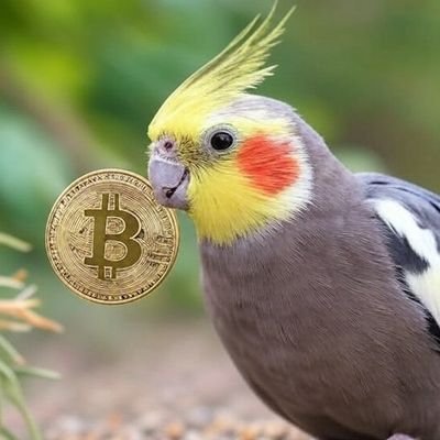 今後の人生のために資本市場から3億円貰います（法定通貨の減価に備え1億から上方修正ｗ）23年夏からBTC現物収集。米株（今はBTC関連メイン）、日本株。FX（サイクル理論、エリオット波動。デイ～スイング）チャート分析は自己整理目的です！共通項ある方仲良くしてください！