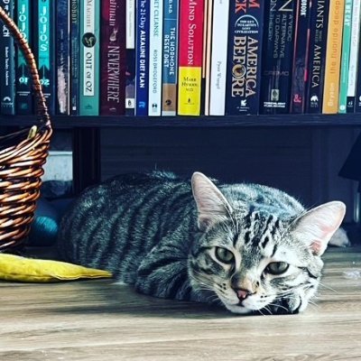 Rachel_Mit_Uns's profile picture. 