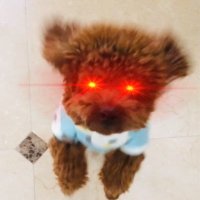 Thฮฃ Sandbox (@deezsand) 's Twitter Profile Photo Thฮฃ Sandbox (@deezsand) 's Twitter Profile Photo