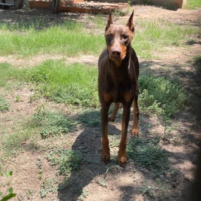 JohnPaulFrm713's profile picture. dm me 📷 🍆 🤫