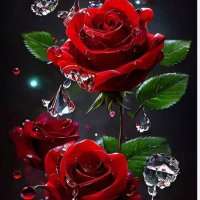 🇹🇷🌹Nilgün🌹 🇹🇷 (@nelycaki) 's Twitter Profile