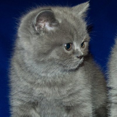 Maxikpixik's profile picture. 