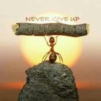 ↗ Never Give Up↖ (@th3perfectmind) 's Twitter Profile